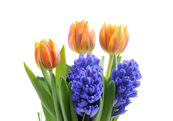 Kytice tulipány a hyacinty — Stock fotografie