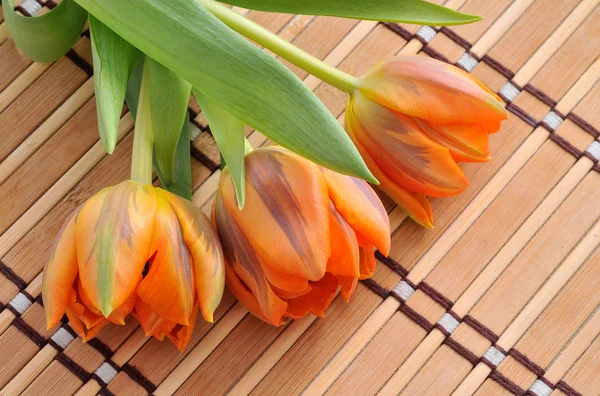 Ramo de tulipanes sobre fondo — Foto de Stock