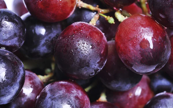 stock image Close up of grapes