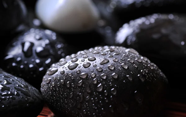 Close up of wet river rocks — Stock Photo, Image