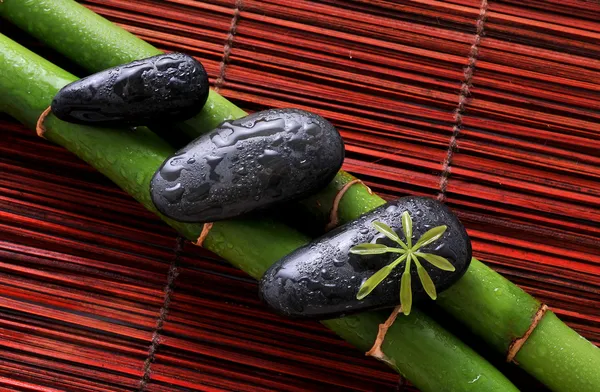 Zen stones a zelený bambus — Stock fotografie