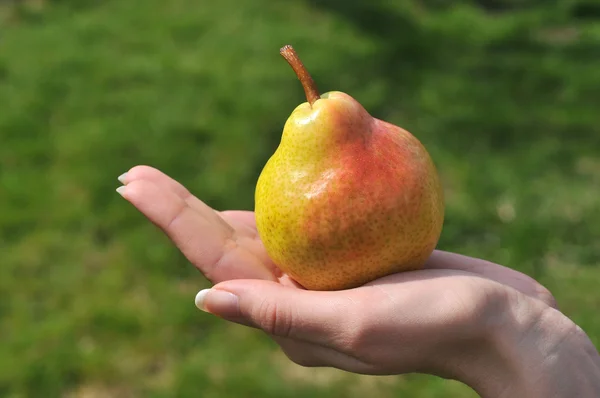 Lady 's hand with fresh pear — стоковое фото