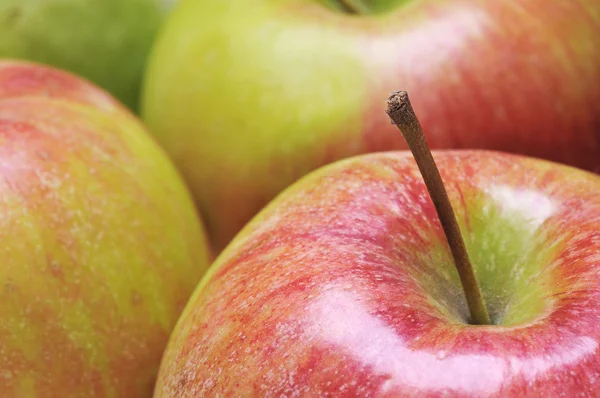 Läckra gröna äpplen — Stockfoto
