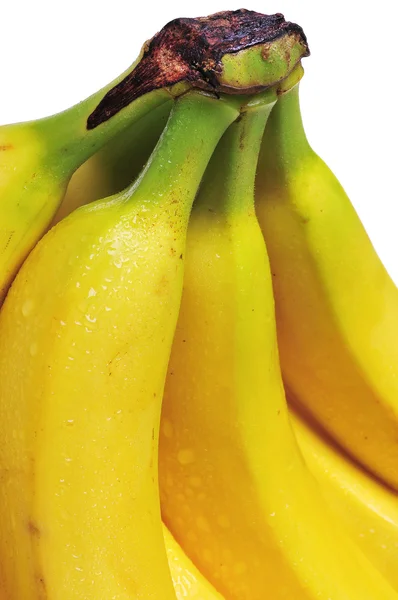 Пучок жовтих бананів — стокове фото