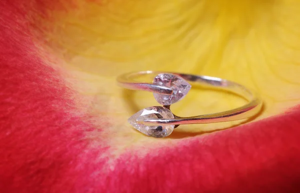 Ring op een roos bloemblad — Stockfoto