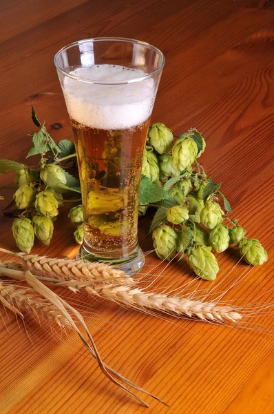 Hop y cerveza sobre fondo de madera —  Fotos de Stock