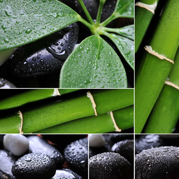 Collage of wet river rocks with green leaf — Stock Photo, Image