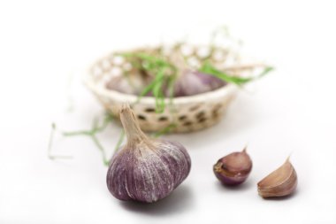 Garlic clipart