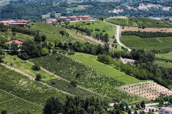 Vin region i Italien — Stockfoto