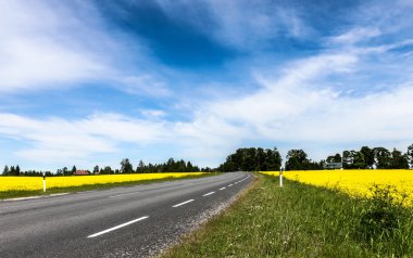 Farmland Road clipart