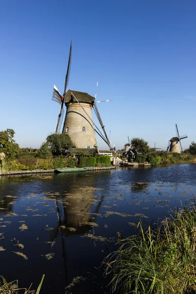 Molinos de viento en Holanda cerca del río — Foto de Stock