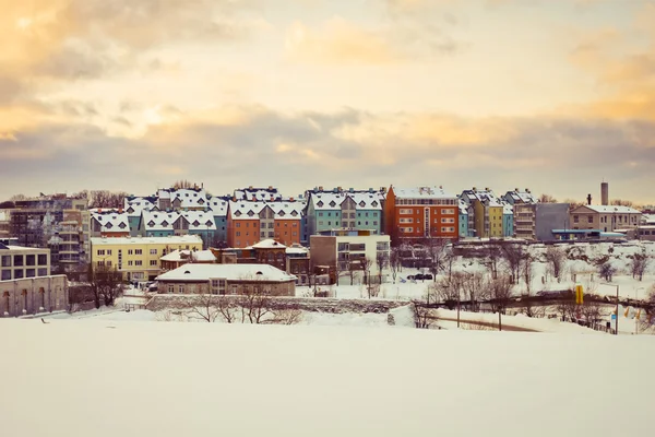 Vinter Tallinn - Stock-foto