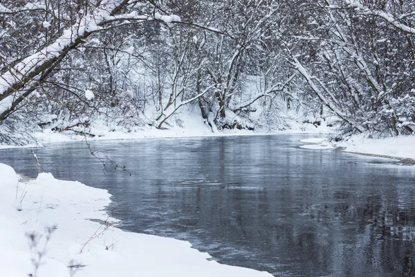 Rio floresta de inverno — Fotografia de Stock