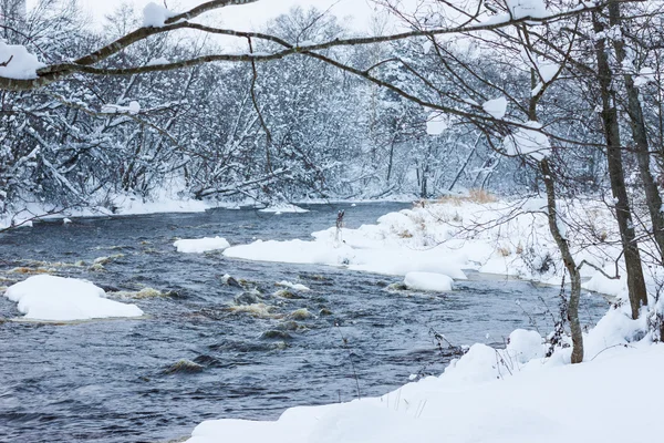 Zimní řeka ve sněhu se stromy — Stock fotografie