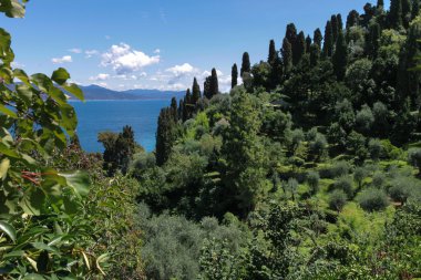 Yeşil doğa İtalya