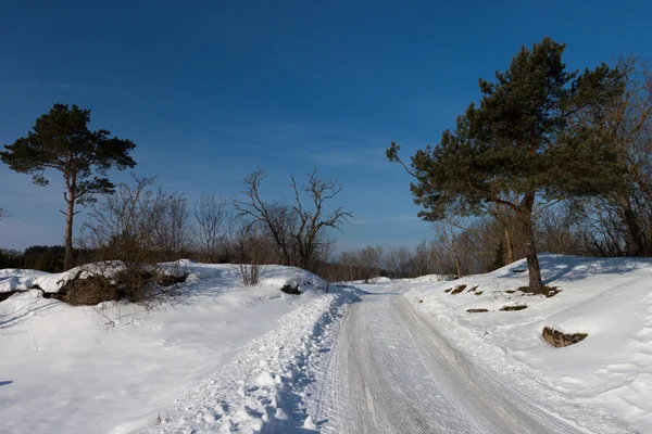 Camino rural de nieve durante el invierno — Foto de Stock