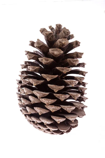 Cone isolated on white background — Stock Photo, Image
