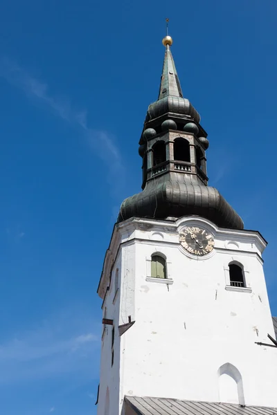 Cathedral of Saint Mary oskulden (Dome kyrkan) — Stockfoto
