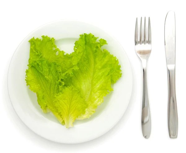 Kopfsalat — Stockfoto