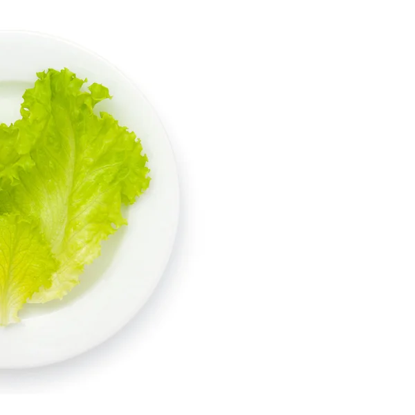 Салат-латук — стокове фото