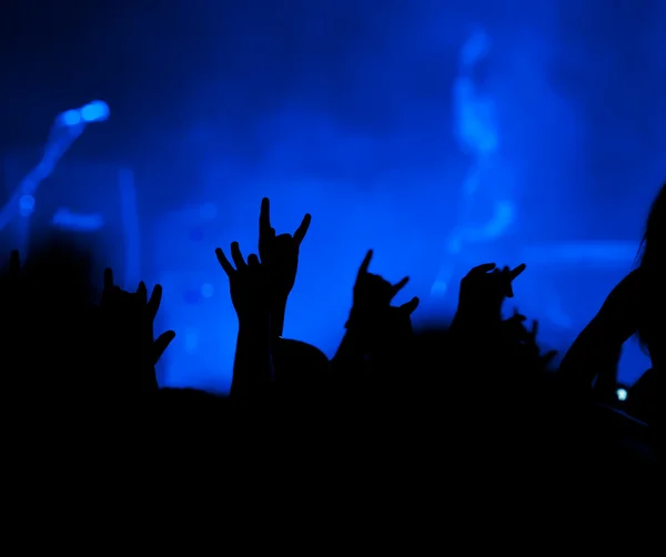Concert. Fans — Stockfoto