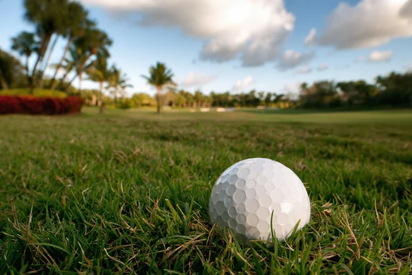 Golf ball lies on rough beside fairway of tropical florida cours — Stock Photo, Image