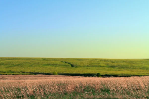 Rurale landschap met vloer, ravijn en boom — Stockfoto