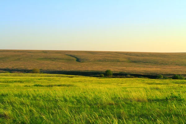 Paesaggio rurale con pavimento, burrone e albero — Foto Stock