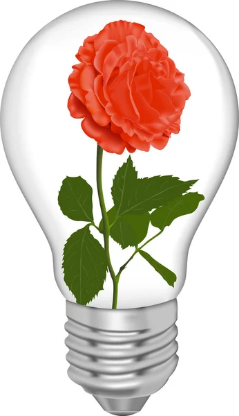 Red rose in a bulb — Stock Vector