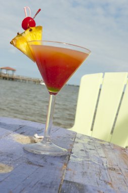 Cocktail by the Indian River Lagoon