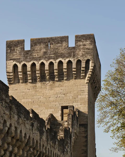 में और Avignon की दीवारों के आसपास — स्टॉक फ़ोटो, इमेज