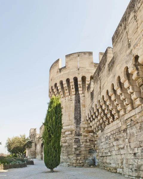 Mur avec Tours & Porte à Avignon France — Photo