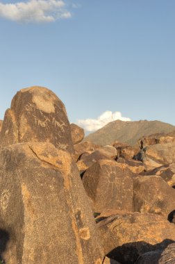 sinyal Hill saguaro Milli Parkı içinde geç gün