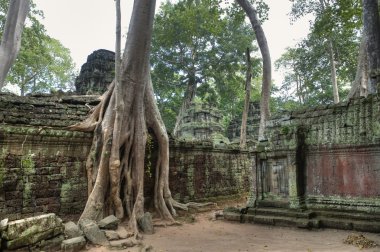 Ta Prohm