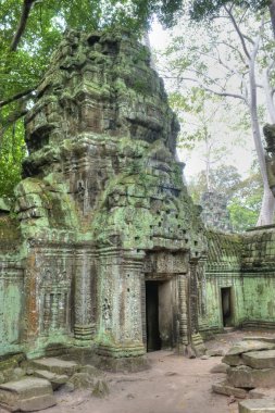 Ta Prohm