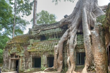 Ta Prohm