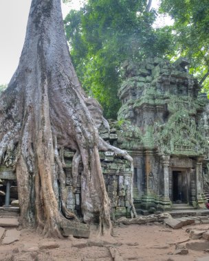 Ta Prohm