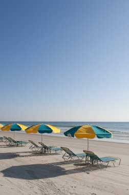 Lounges & Umbrellas on Daytona Beach clipart