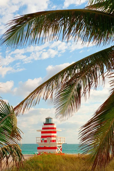Cabane de garde vie Miami beach — Photo