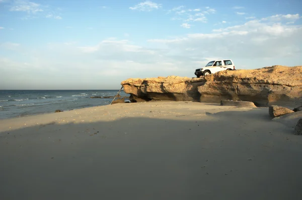 stock image Rocky beach