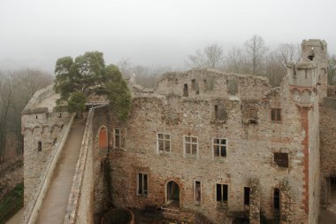 Auerbach Kalesi (Auerbacher Schloss)