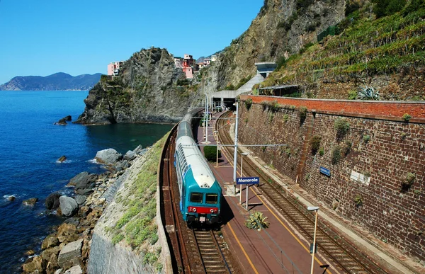 Aldeia de Manarola e estação ferroviária (Itália ) — Fotografia de Stock