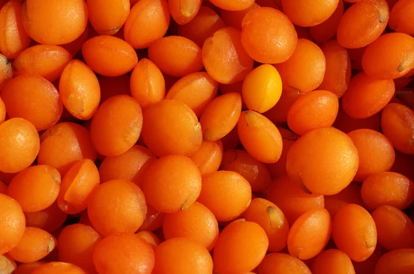 stock image Red lentils