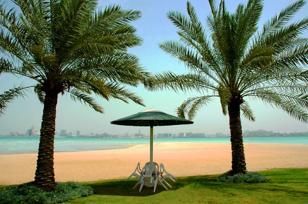 stock image Palms on a beach