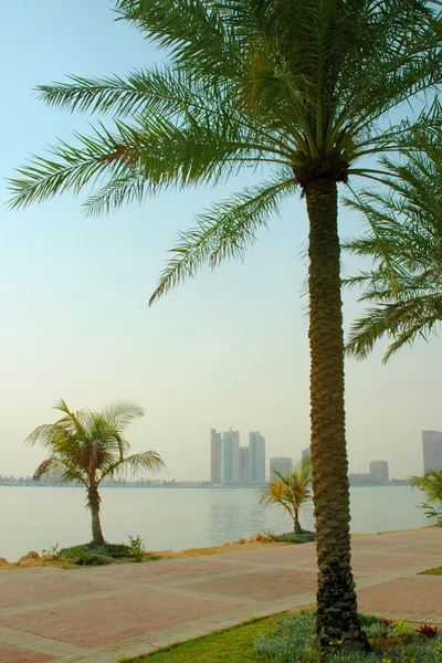 stock image Doha Corniche