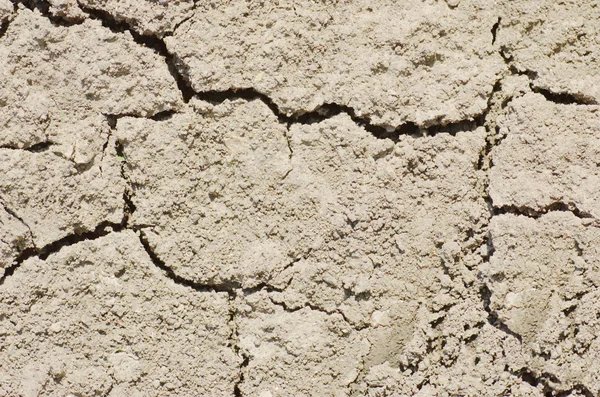 stock image Cracked ground