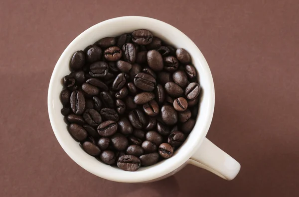 Tasse de café (haricots ) — Photo