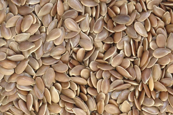 Sfondo semi di lino — Foto Stock