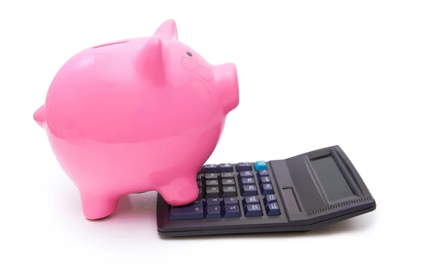 Розовая свинья на калькуляторе — стоковое фото