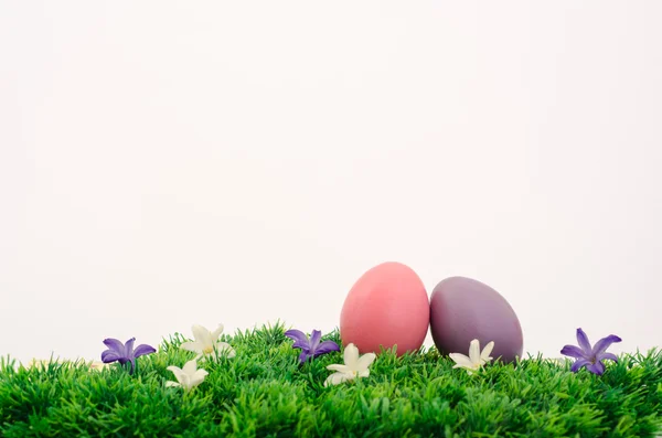 Două ouă de Paște pe fundal alb — Fotografie, imagine de stoc